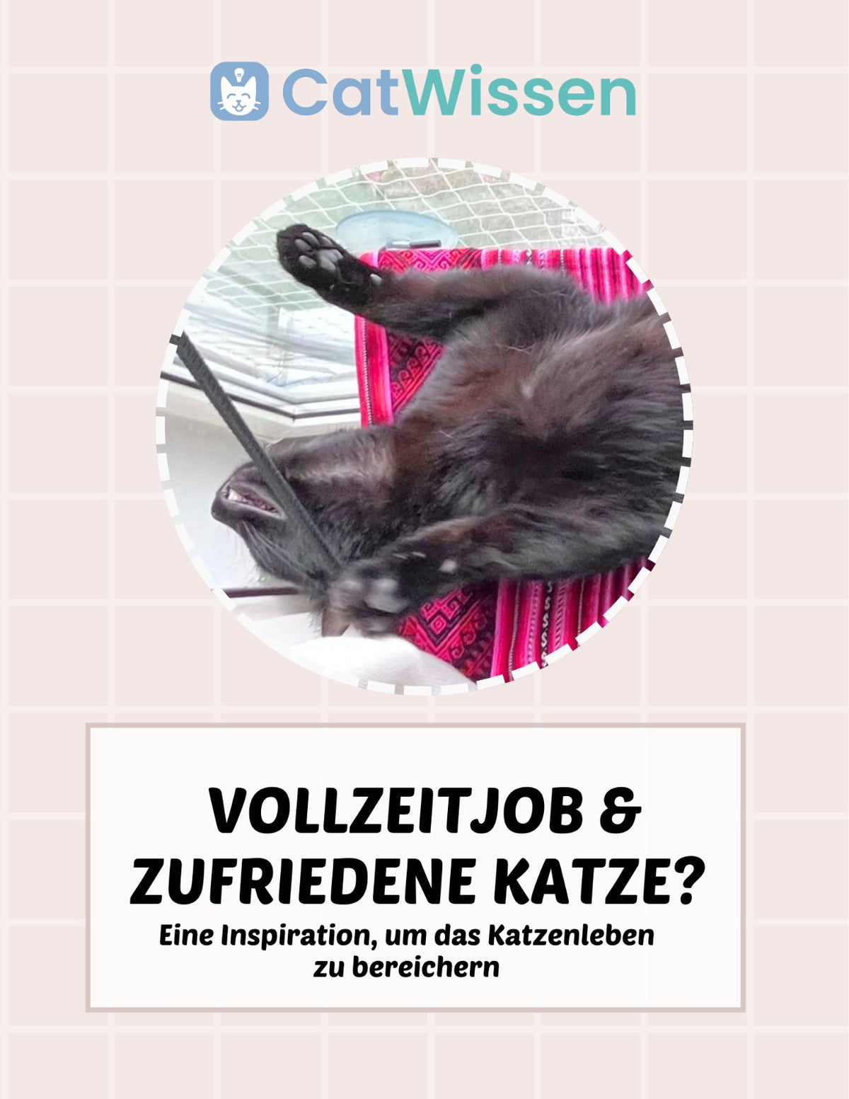 Vollzeitjob & zufriedene Katze? - Online Aufzeichnung mit realistischen Tipps
