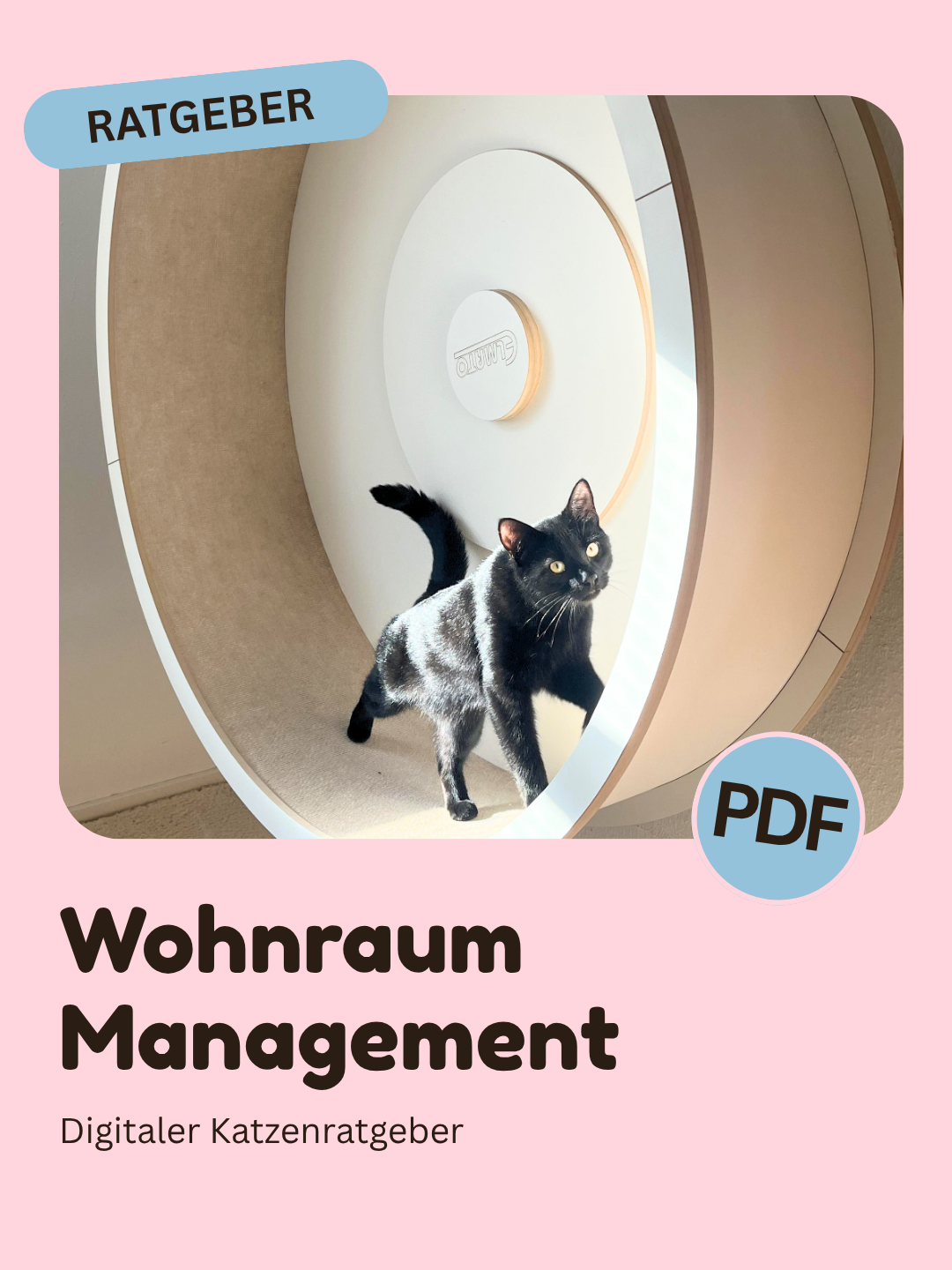 Wohnraum Management – Digitaler Katzenratgeber