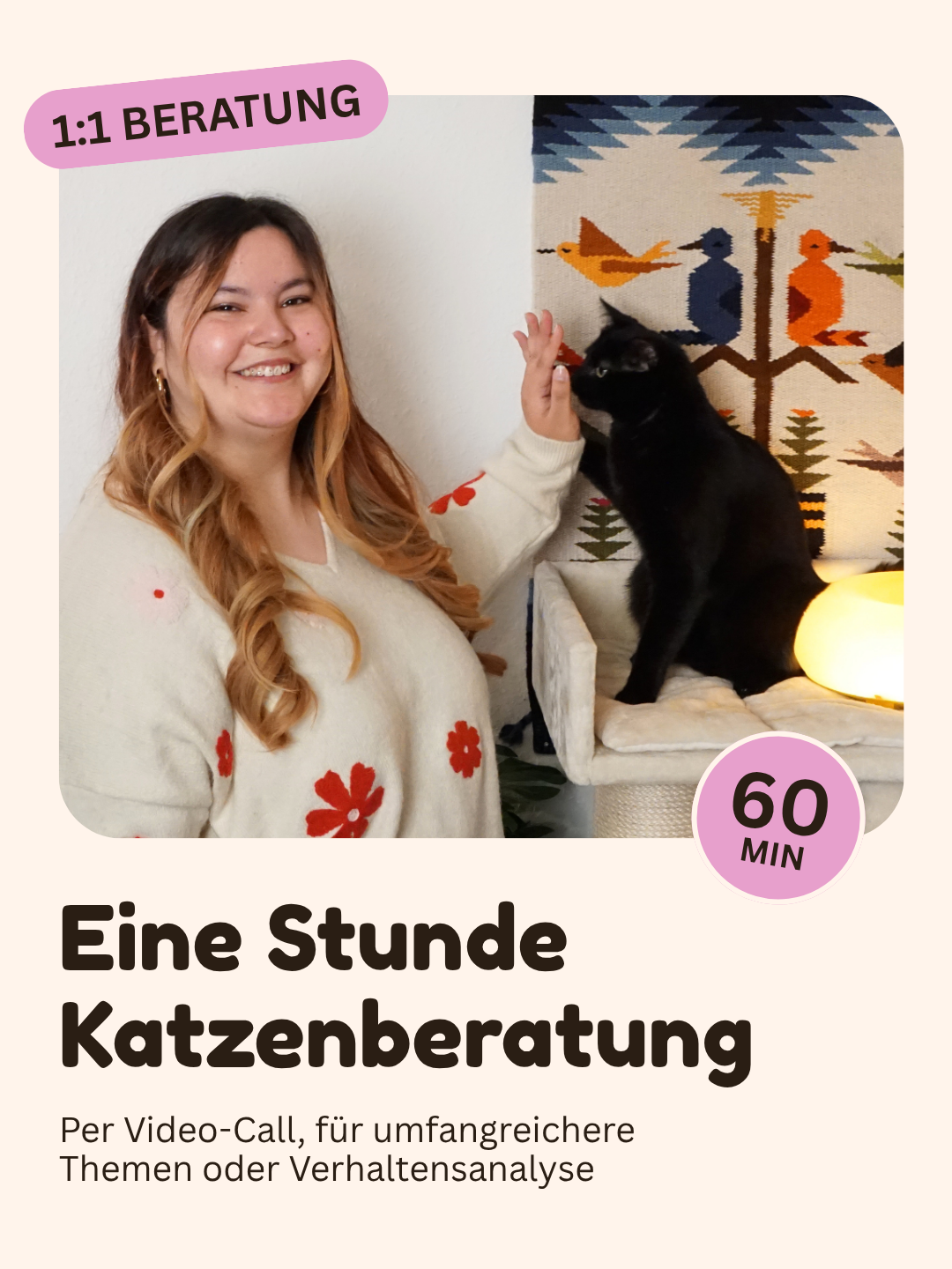 Eine Stunde Katzenberatung