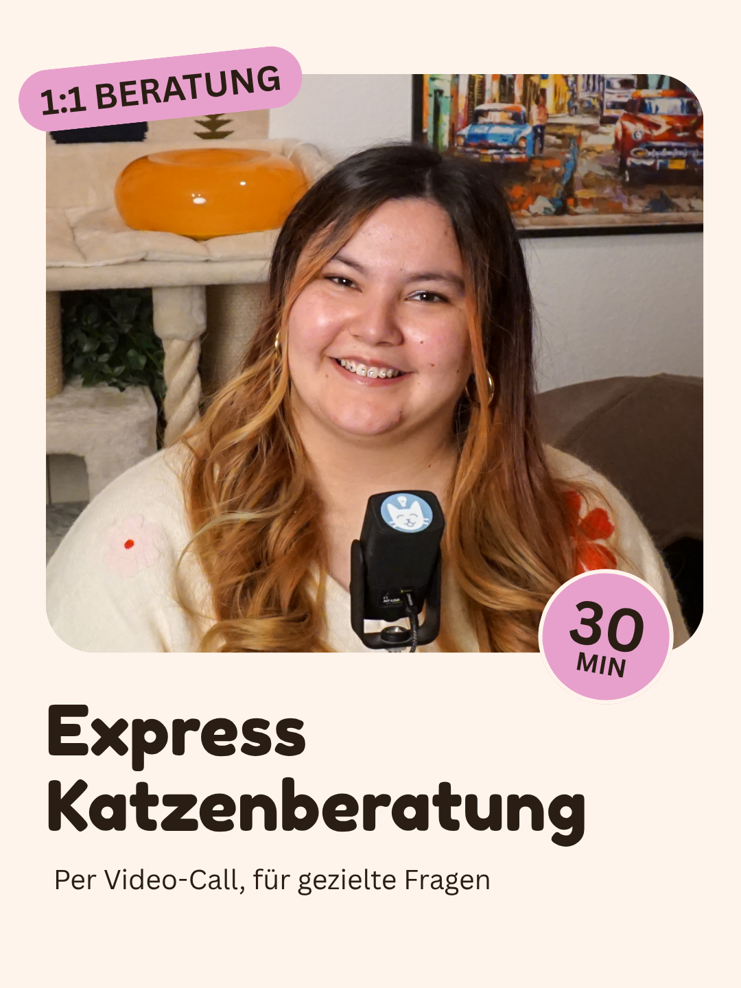 Express Katzenberatung