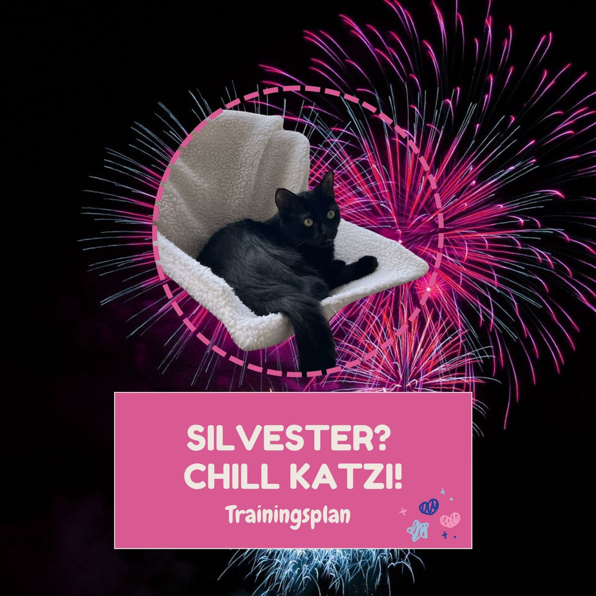 Silvester? Chill Katzi!