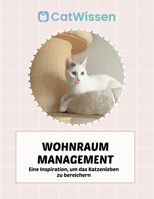 Wohnraum Management – Digitaler Katzenratgeber